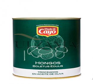 HONGOS EN ACEITE LATA 1 Kg.CAYO NETO 470